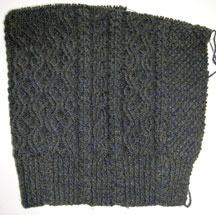 Irish_moss_front_11_14